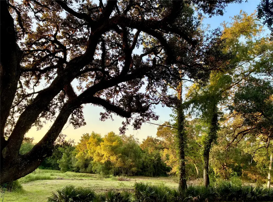 18108 Fm 762 Road, Needville, TX 77461 - Image #3