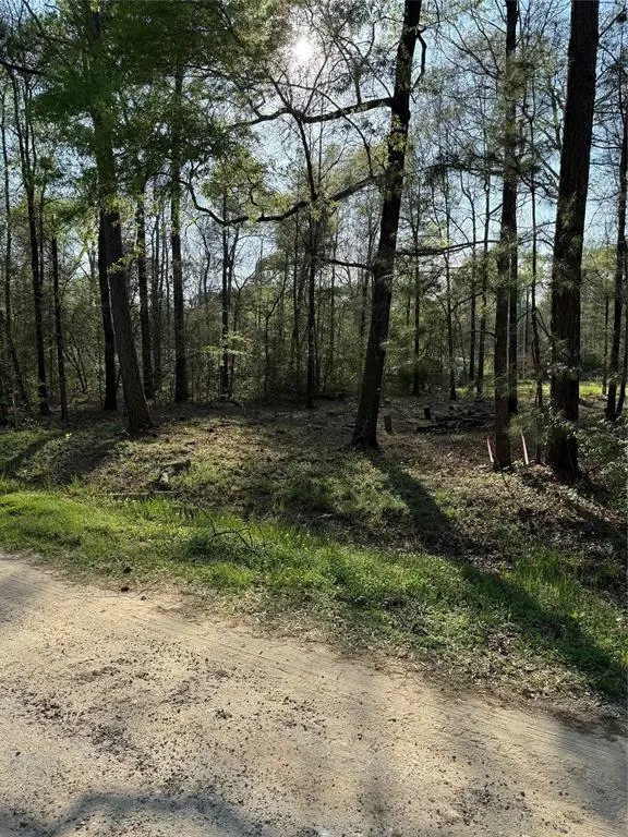 TBD Knotty-pine, Livingston, TX 77351 - #1