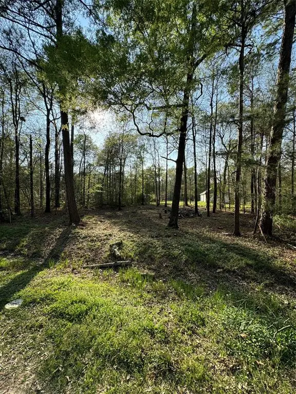 TBD Knotty-pine, Livingston, TX 77351 - #2