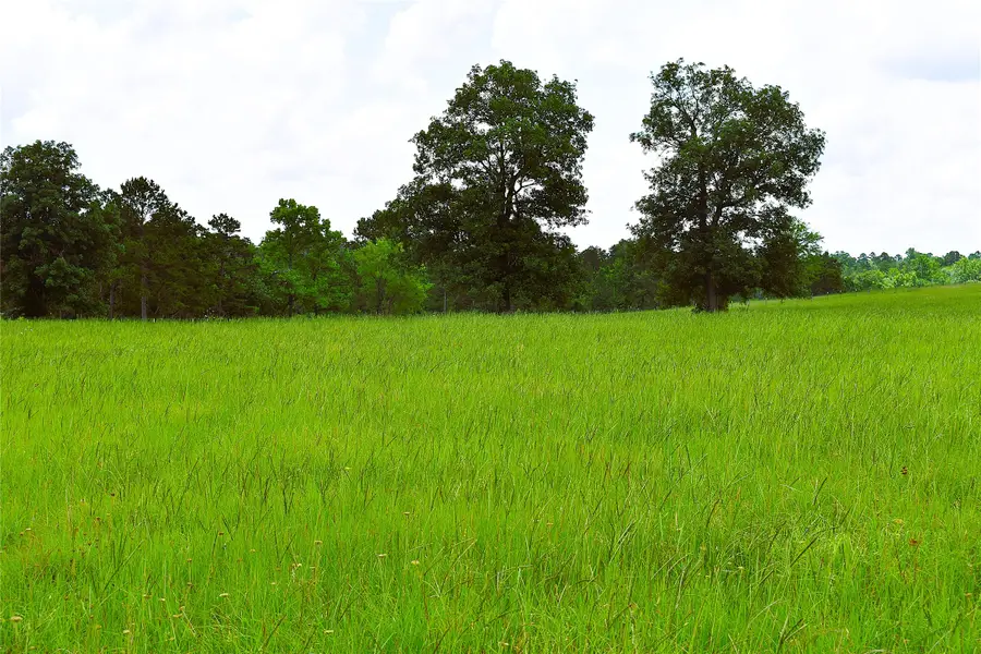 8034 E County Road 212, Buffalo, TX 75831 - #2