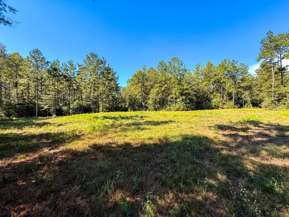 TBD County Road 4416, Spurger, TX 77660 - #1