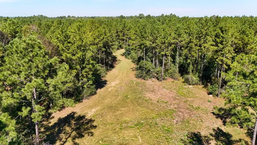 TBD County Road 4416, Spurger, TX 77660 - #3