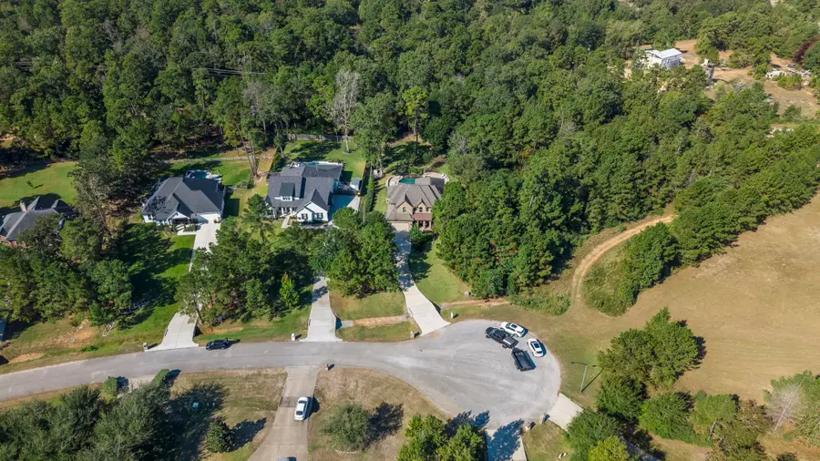 108 Port Au Prince Court, Montgomery, TX 77316 - Image #3