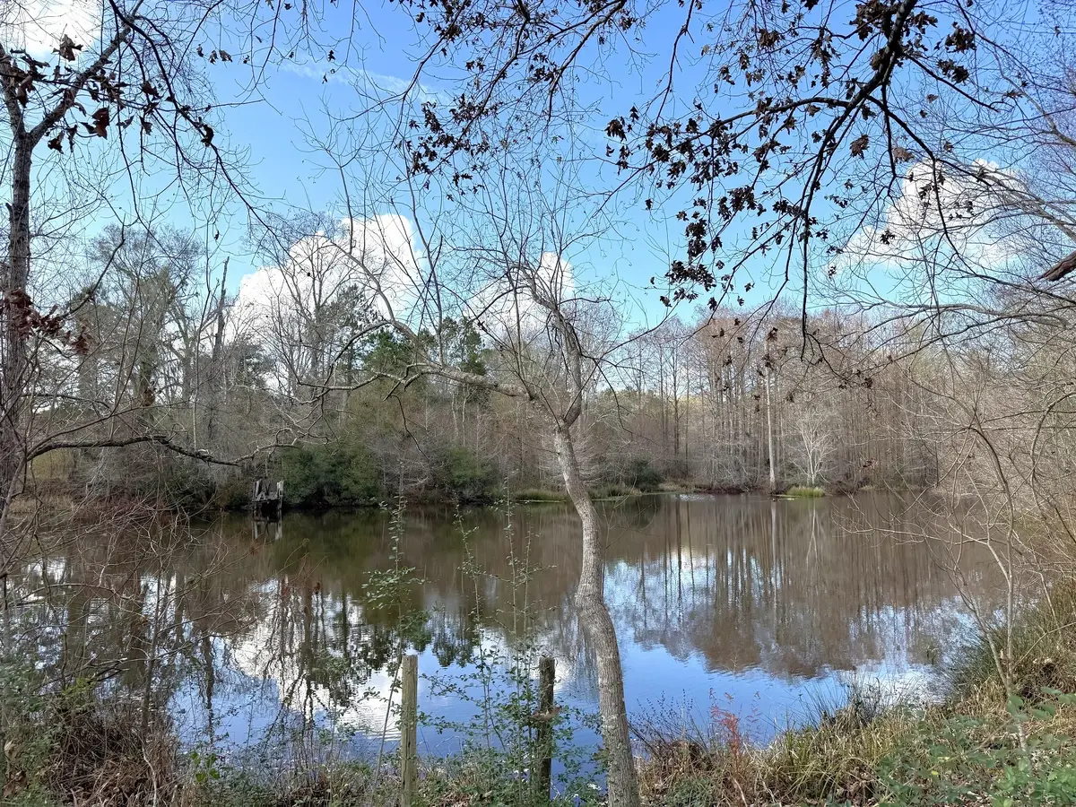 1471 County Road 4320, Woodville, TX 75979 - Image #1