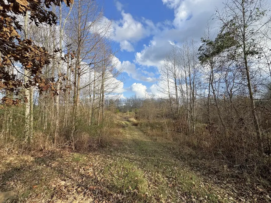 1471 County Road 4320, Woodville, TX 75979 - Image #2