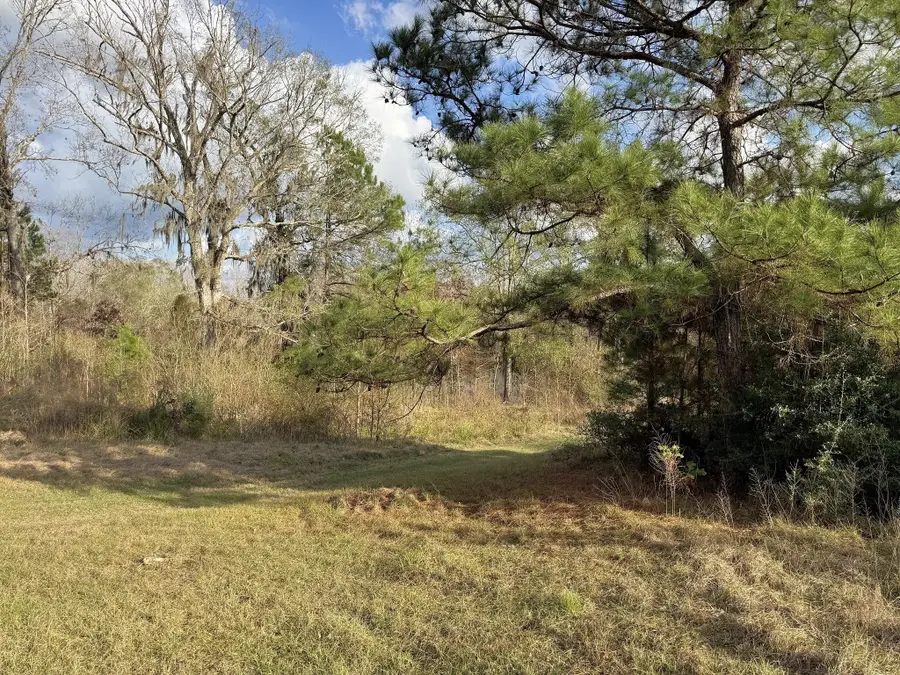 1471 County Road 4320, Woodville, TX 75979 - Image #3