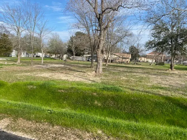 TBD Plum Street, Bedias, TX 77831 - Image #2