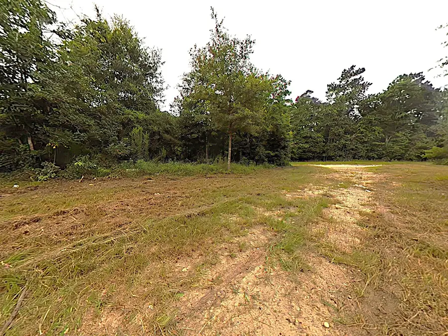 286 Stacy Wiggins Drive, Livingston, TX 77351 - Image #2