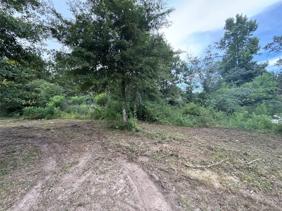 286 Stacy Wiggins Drive, Livingston, TX 77351 - Image #3