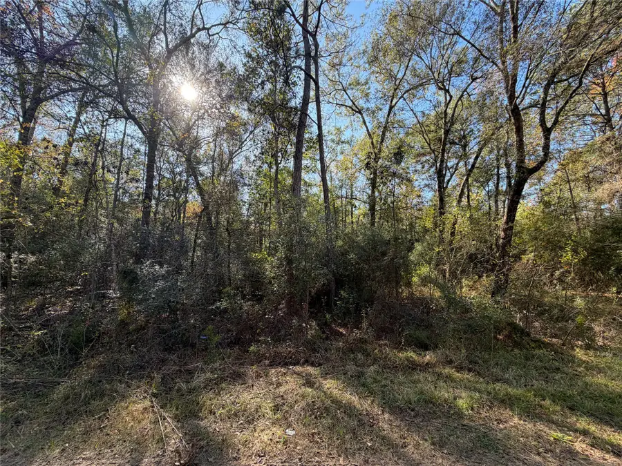 Lot 8A Private Road 2055, Hull, TX 77564 - Image #2