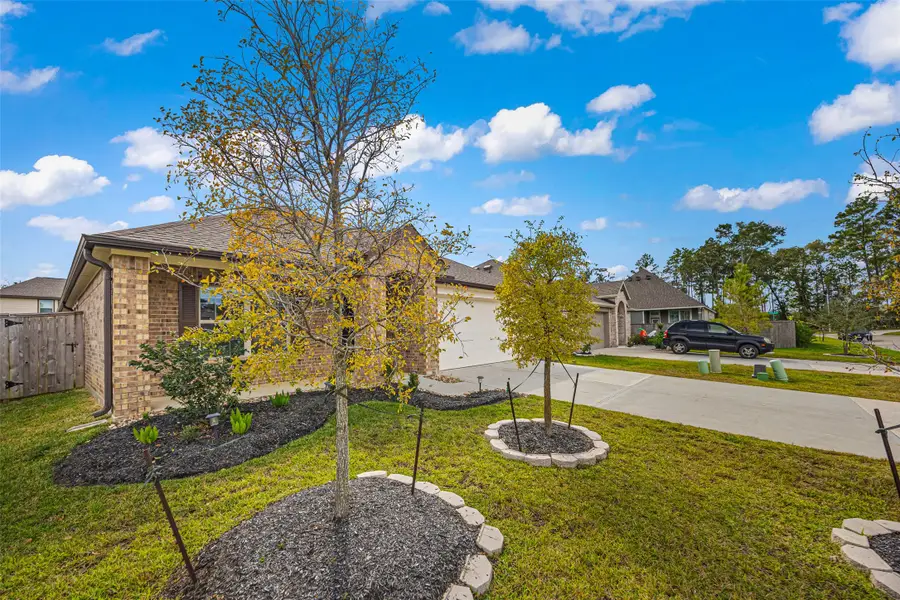 2822 Paradise Ridge Way, Conroe, TX 77301 - Image #3
