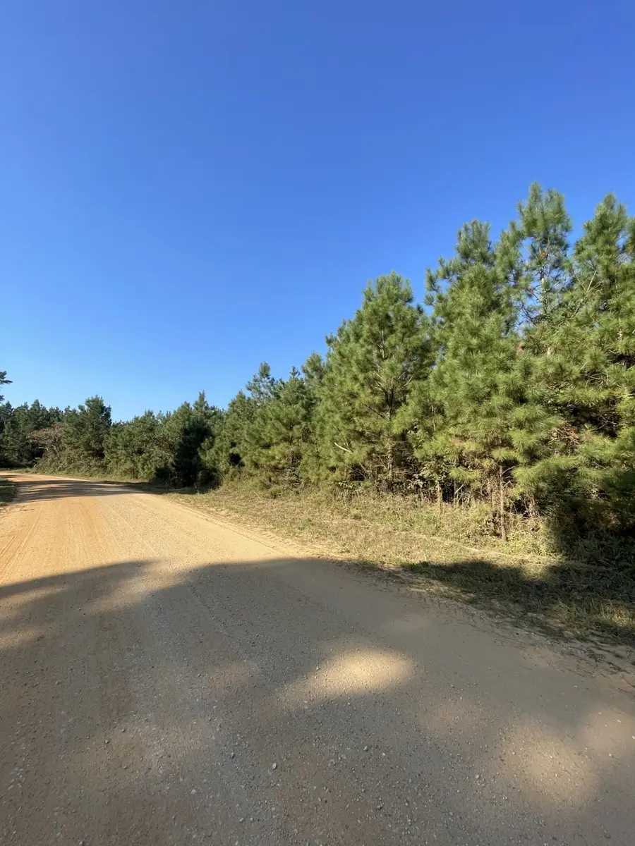 TBD County Road 546 Road, Nacogdoches, TX 75961 - Image #2