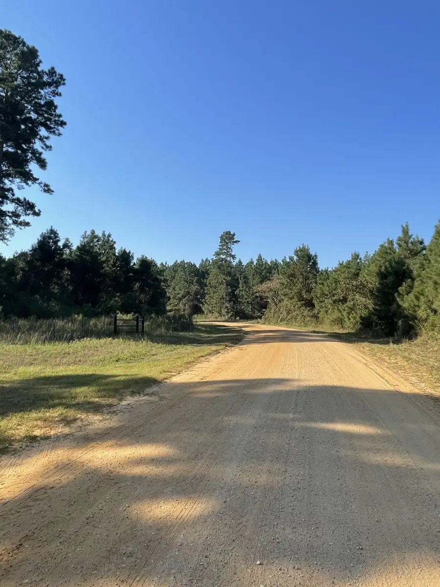 TBD County Road 546 Road, Nacogdoches, TX 75961 - Image #3