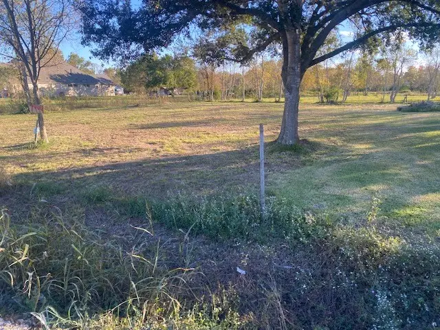 7444 King Street, Manvel, TX 77578 - Image #3