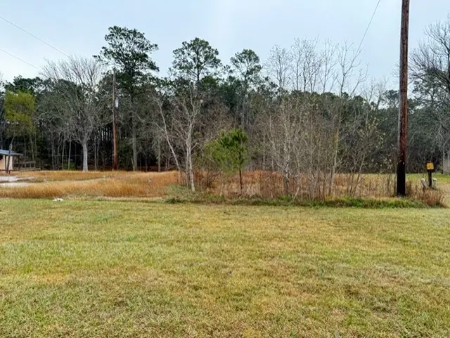 0 Hwy 61, Anahuac, TX 77514 - #1