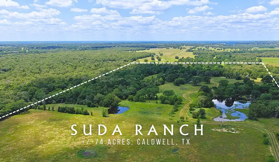 TBD County Road 132 - 74 Acres, Caldwell, TX 77836 - #3