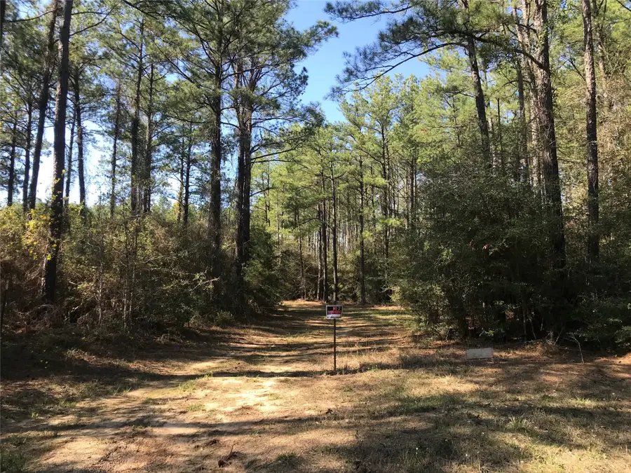 802 Cr 483 Road S, Broaddus, TX 75929 - Image #3