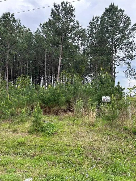 2978 County Road 3545, Cleveland, TX 77327 - Image #1