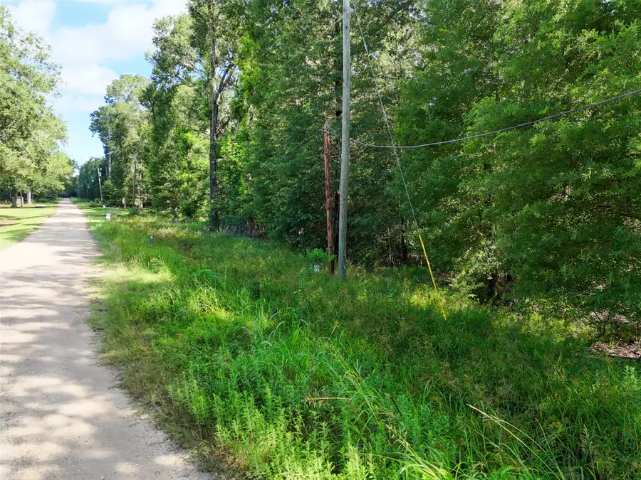 116 San Juan, Goodrich, TX 77335 - #2