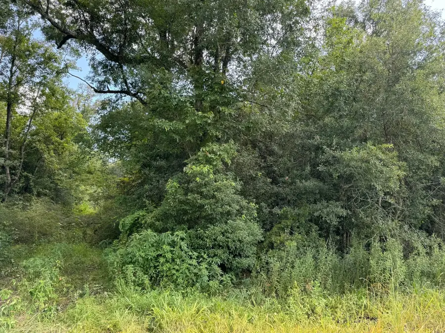 3167 Ih10,3002 35th St, Pinehurst, TX 77630 - Image #3