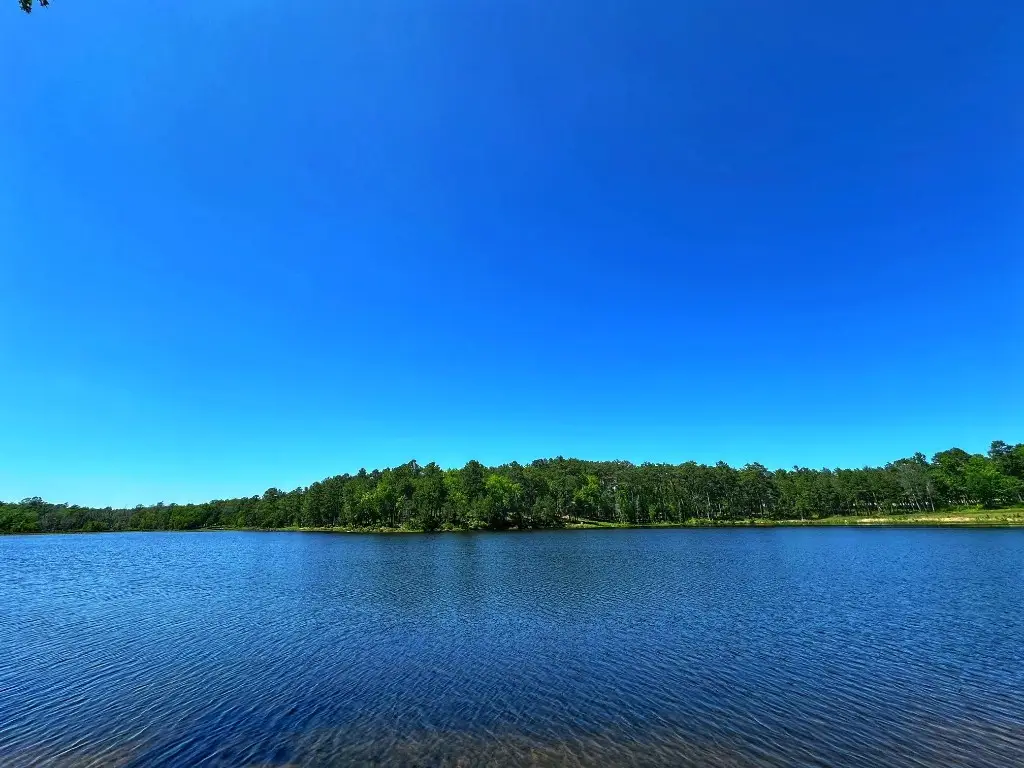 Tract 153 Pr 1311, Centerville, TX 75833 - #1