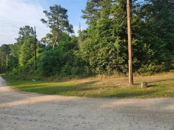 Lot 18 Weeping Willow Lane, Plantersville, TX 77363