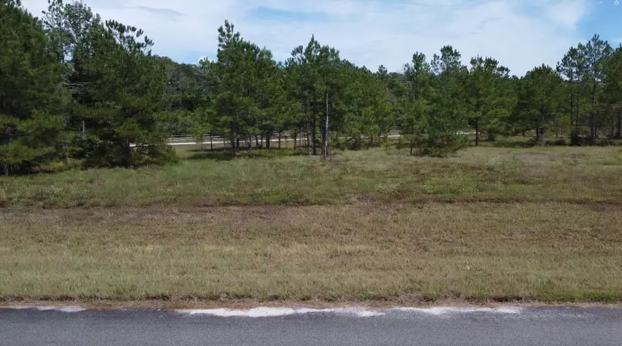 TBD Bambi Court, Cleveland, TX 77328 - #3