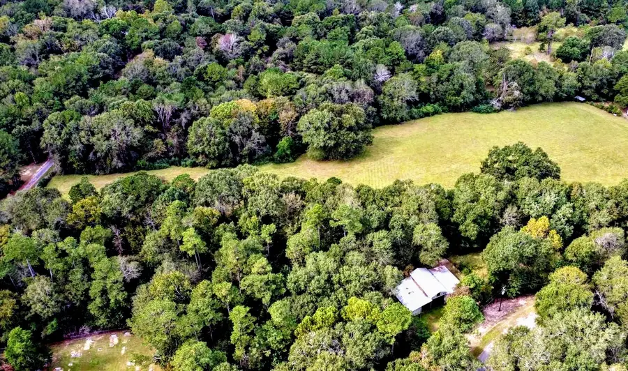 TBD Rosier Rd, Votaw, TX 77376 - Image #3