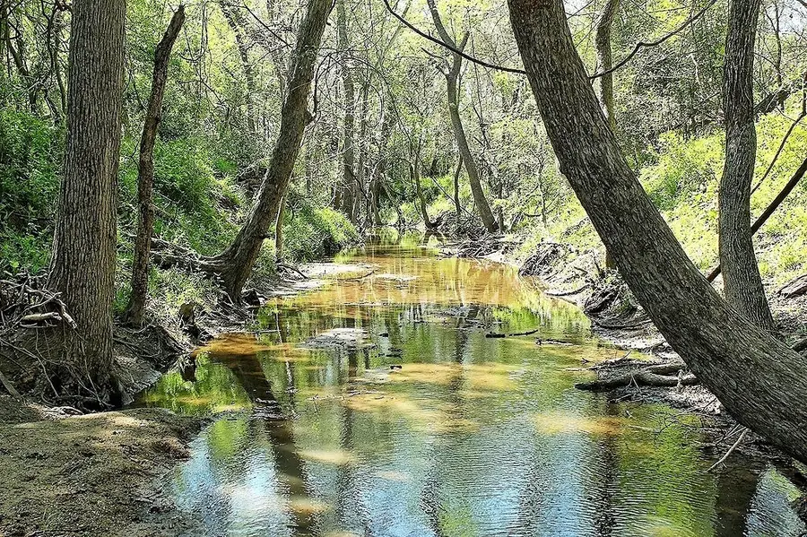 TBD Scott Road, Weimar, TX 78962 - Image #2