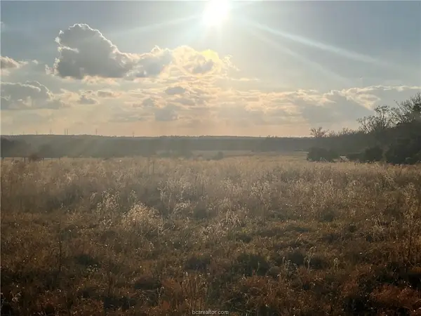 307 ACRES TBD Fm-1469, Marquez, TX 77865