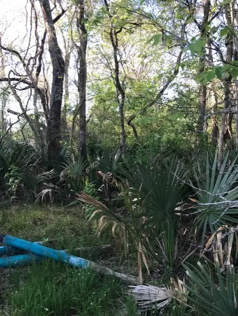 0 E Live Oak Road, Van Vleck, TX 77482 - #2