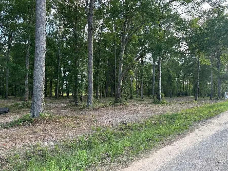 Tract 2- 000 Tbd Blackburn, Splendora, TX 77372 - #2