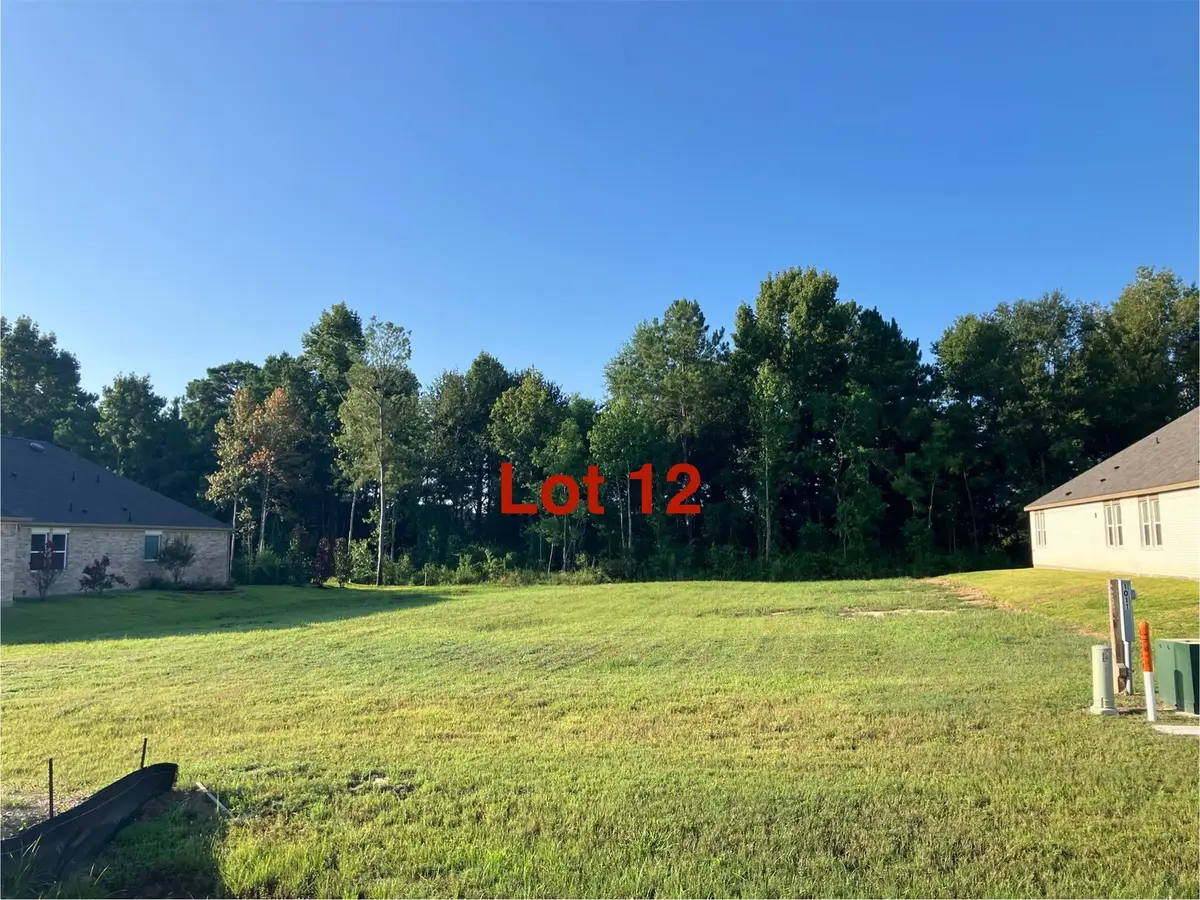 1011 Tarkington Timbers Drive, Cleveland, TX 77327 - #1