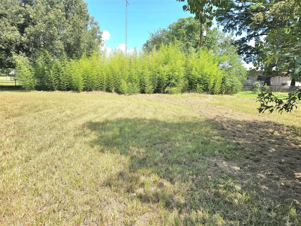 Lot 15 Monticello Street, Trinity, TX 75862 - #1