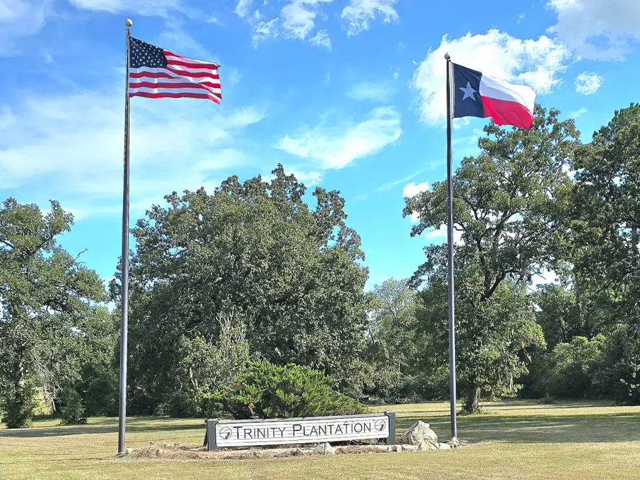 Lot 15 Monticello Street, Trinity, TX 75862 - #3