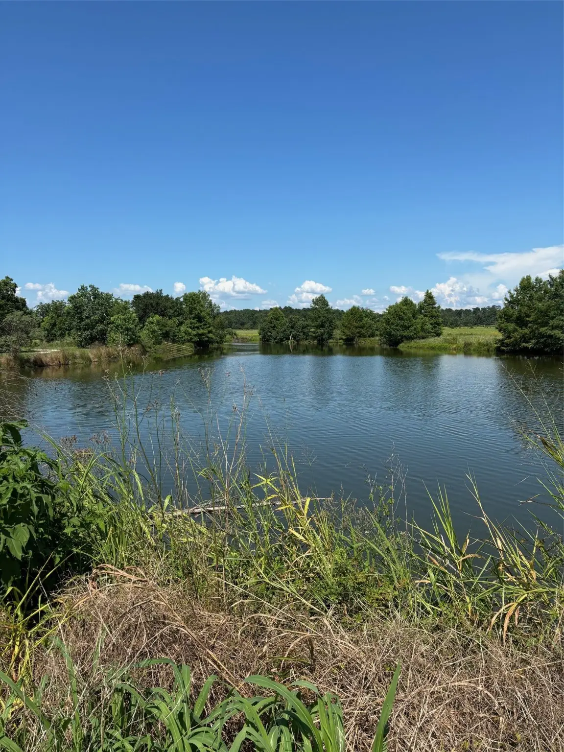 585 Industrial Park Boulevard, Trinity, TX 75862 - Image #1