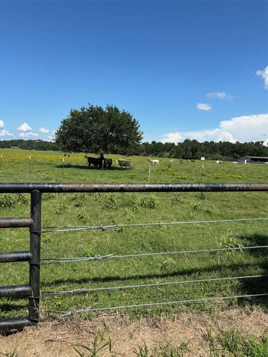 585 Industrial Park Boulevard, Trinity, TX 75862 - Image #3