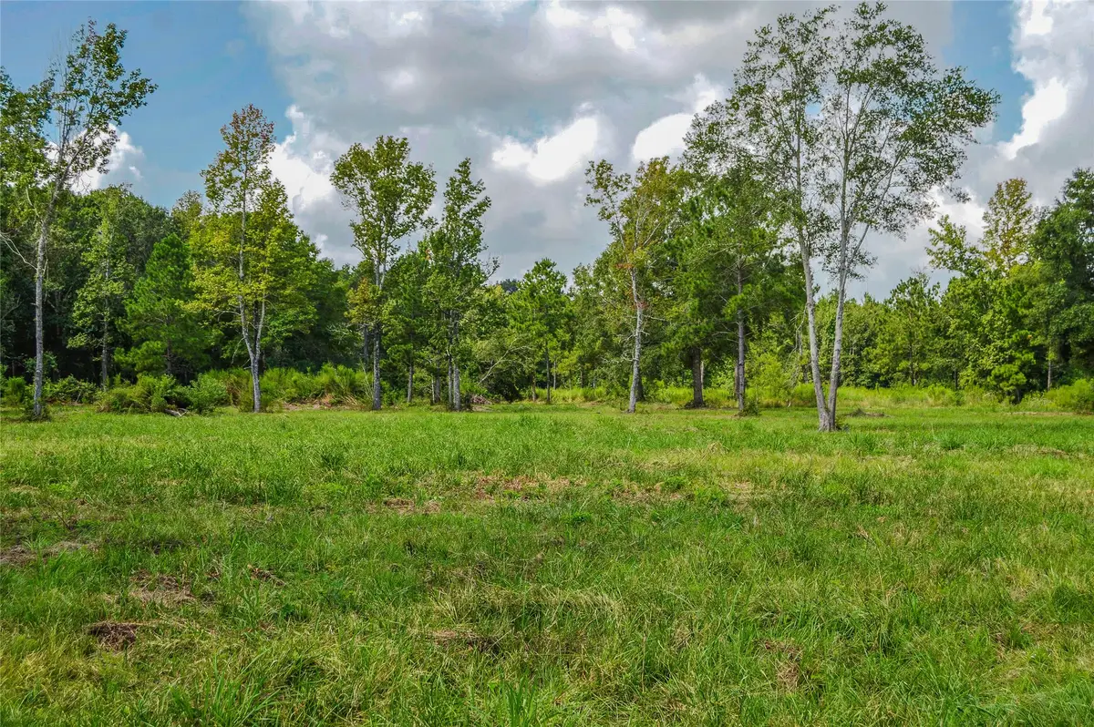 2.24 AC Hwy 321, Cleveland, TX 77327 - Image #1
