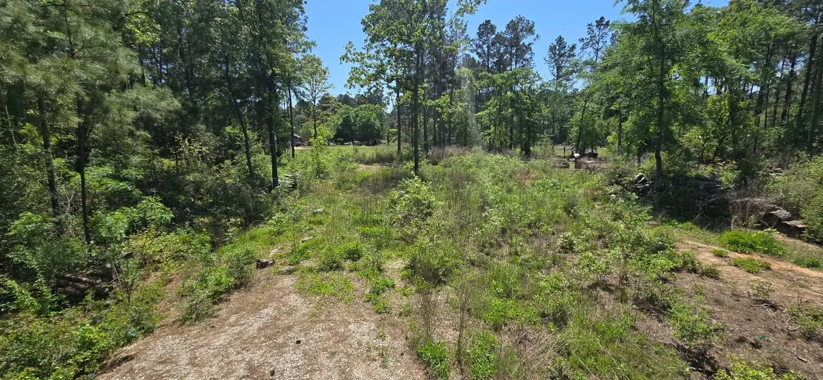 7898 Hawthorne Lane, Plantersville, TX 77363 - Image #1