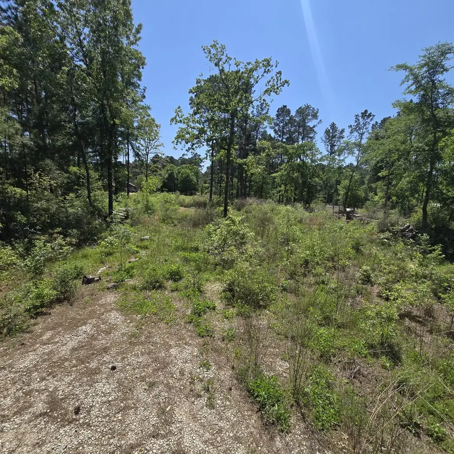 7898 Hawthorne Lane, Plantersville, TX 77363 - Image #2