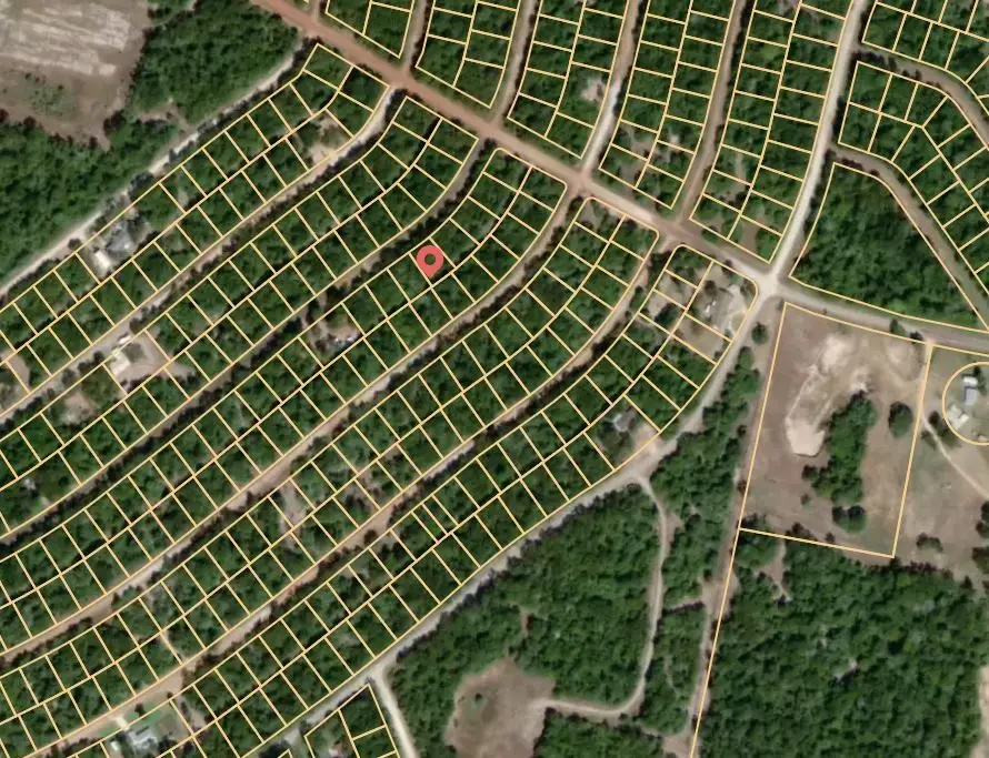 Lot 37 Plum Lane, Normangee, TX 77871 - Image #3