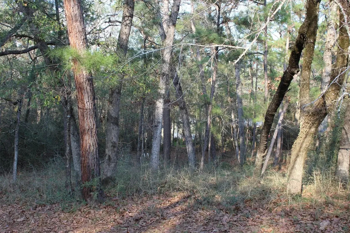 327 Coral Gables, Trinity, TX 75862 - Image #1