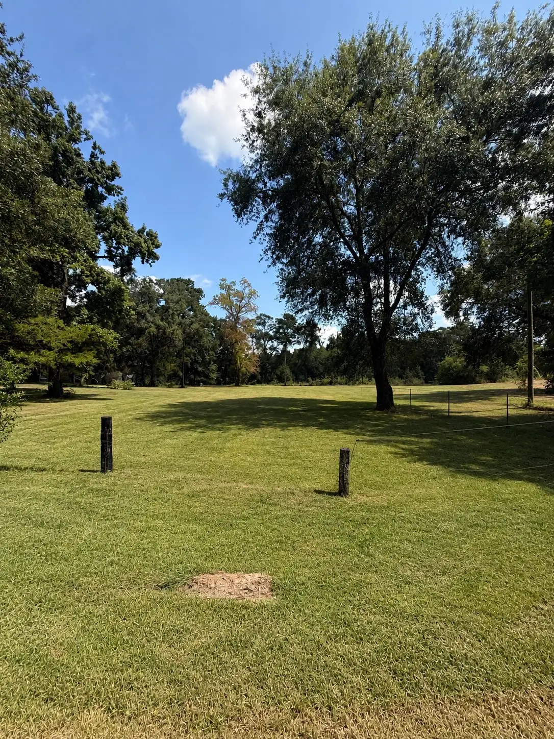178 Midway Road, Cleveland, TX 77328 - #1