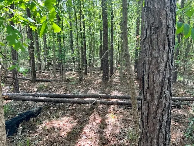 TBD Westridge Park, Livingston, TX 77351 - #2