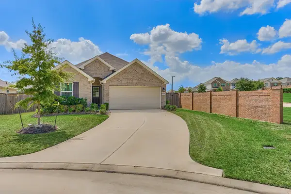 10004 Bigfoot Wallace Drive, Montgomery, TX 77316