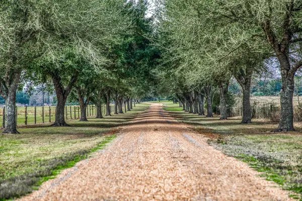 16450 Mathis Road, Waller, TX 77484