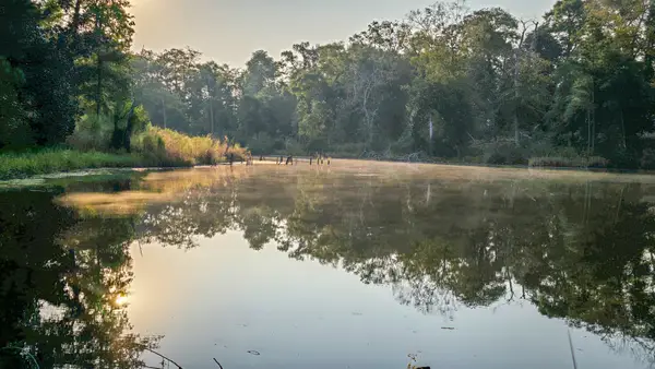 TBD Butler Road, Livingston, TX 77351