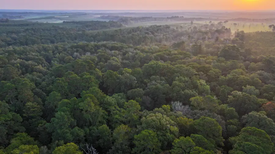 TBD Butler Road, Livingston, TX 77351 - #2