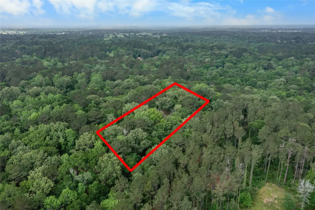 23619 Sharp Road, Montgomery, TX 77356 - #1