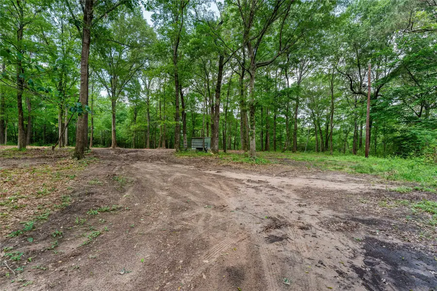 23619 Sharp Road, Montgomery, TX 77356 - #2